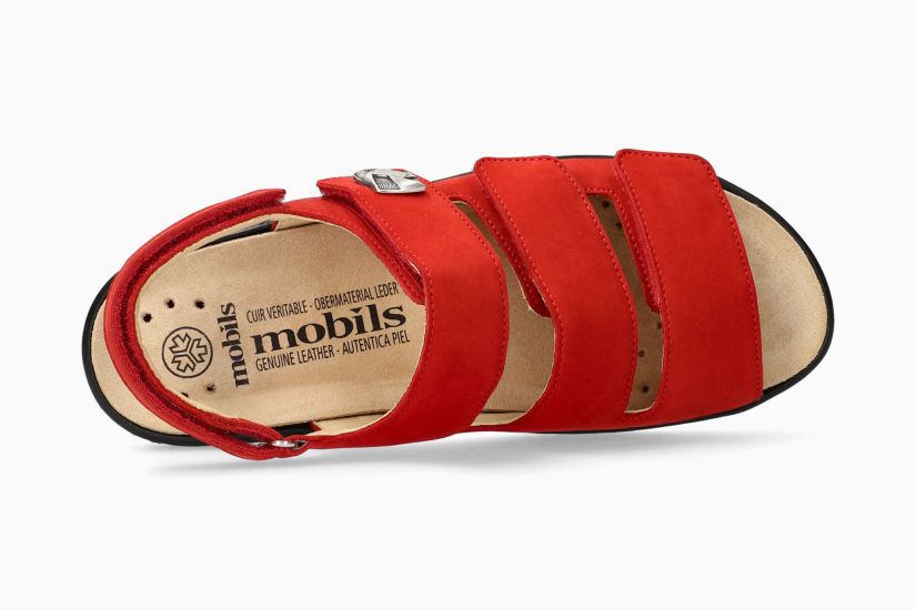 MEPHISTO GIORGINA, SCARLET BUCKSOFT