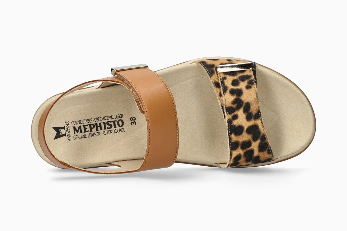 MEPHISTO DOMINICA, BROWN BENGAL